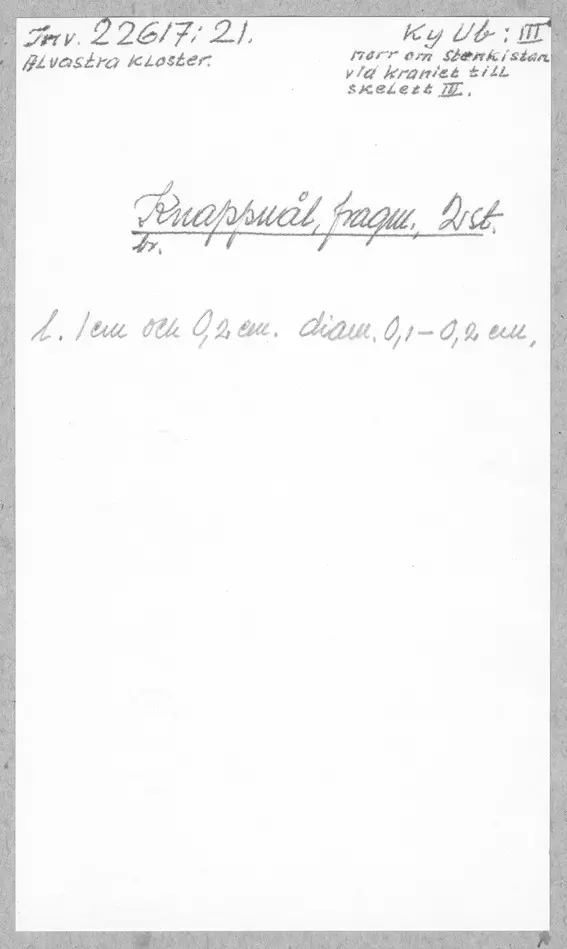 Bild på Knappnål, Nål, Fragment