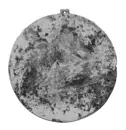 Spegel