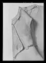 Kyller använt av Gustav II Adolf vid Dirschau den 6 augusti 1627.