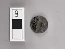 Sköldformat hänge