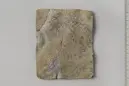 Image of DR NOR1999;21