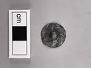 Sköldformat hänge