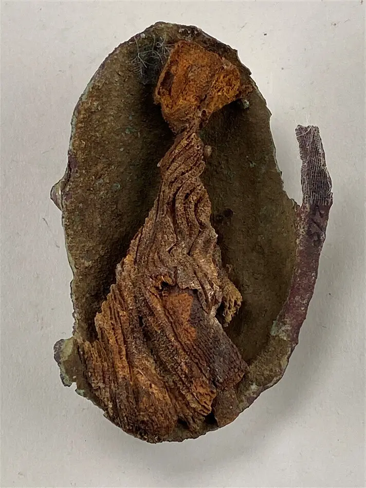 Oval spännbuckla