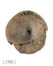 Pärla
