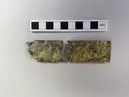 Bältesbeslag