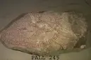 Image of U 613