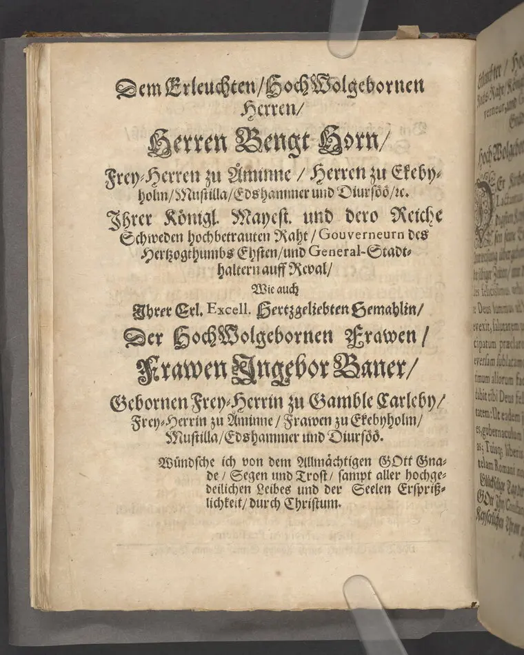 Die Kraft der heiligen Tauffe ... bey hochansehnlich-gehaltener Leichbegeignüß, des ... Herren Swante-Johan Horns, Frey-Herren zu Åminne ... ihrer Excellentz des ... Herren Bengt Horns, Frey-Herren zu Åminne ... Sohns, welcher den I. Februarii dieses 1671sten Jahres in Gott ... verschieden ... in einer Christl. Leichpredigt fürgestellet und erklehret durch Johannem Jacobum ...