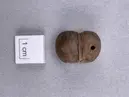 Hänge