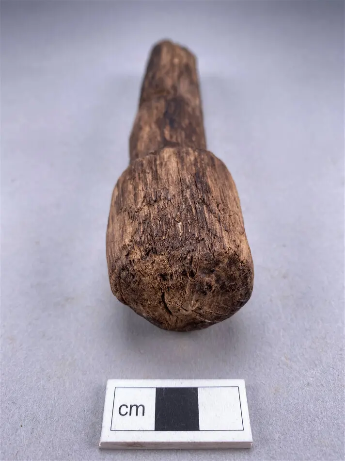 Koffernagel