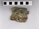 Fragment