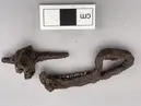 La Tène fibula typ 2