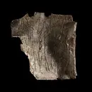 Image of Ög UVÖst2009:5;45