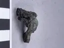 Näbbfibula
