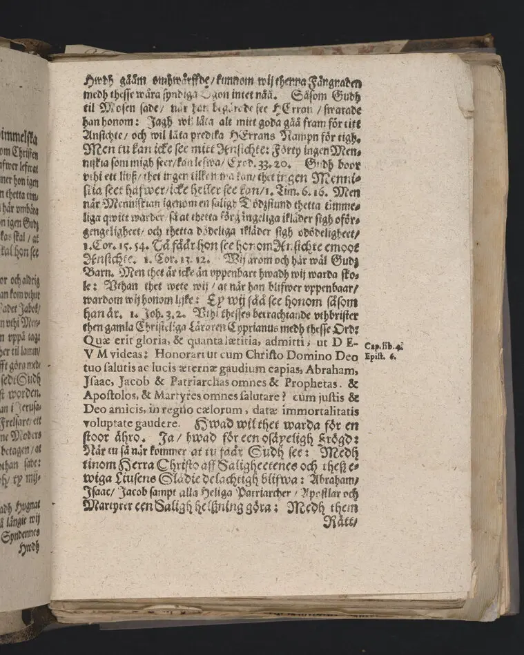 Lijkpredikan, tå ... then edle och wälborne herre, H. Johan Flemming til Lechtisz, Laijsz och Siöndaal, etc. effter ett christeligit affsteed ifrån thenna werlden den 29 Junij åhr 1646. medh waanligh, ädeligh procesz, vthi sitt, aff sigh sielfwo i wälmachtene tilberedda graffställe i Stockholm på Östermalmen vthi S. Jacobs kyrckio den 14. Julij på samma åhr,, [sic!] nedersatt bleff, hållen aff ... Stephano Gallio ..
