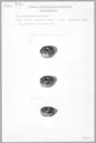 Image of J Fv1970;86